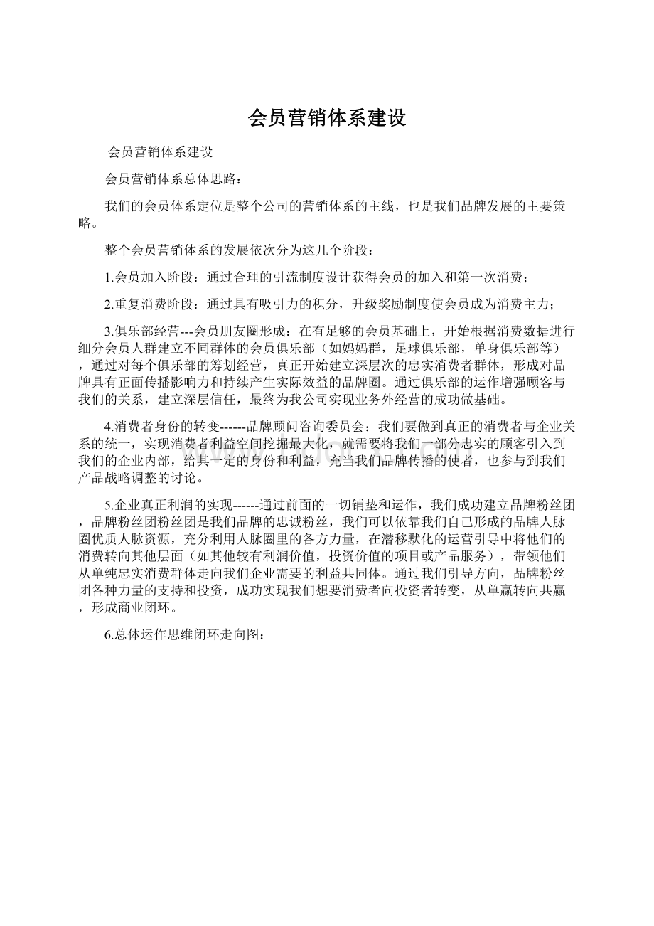 会员营销体系建设Word文档格式.docx