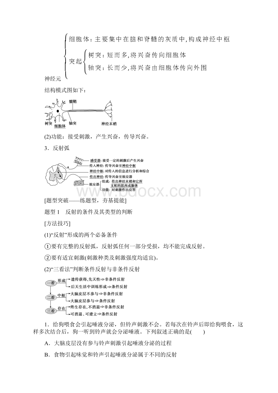 新课标高考生物一轮总复习第8单元第2讲人和高等动物的神经调节教案.docx_第2页