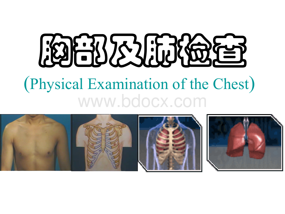 胸部及肺查体1.ppt_第1页