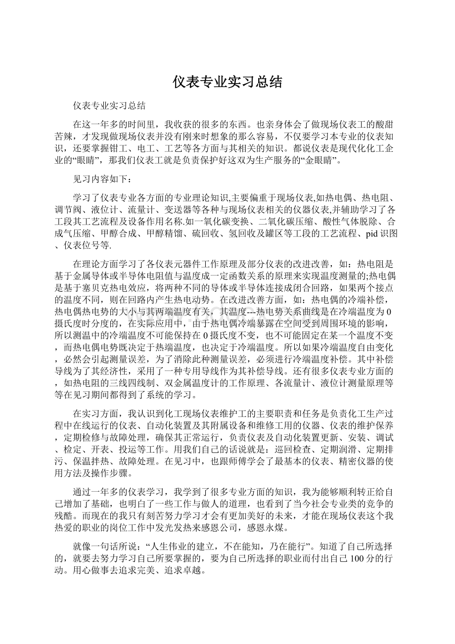 仪表专业实习总结Word格式文档下载.docx