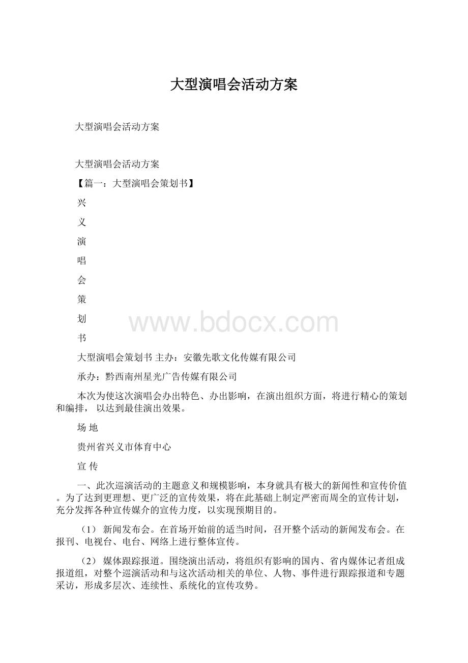 大型演唱会活动方案Word格式.docx