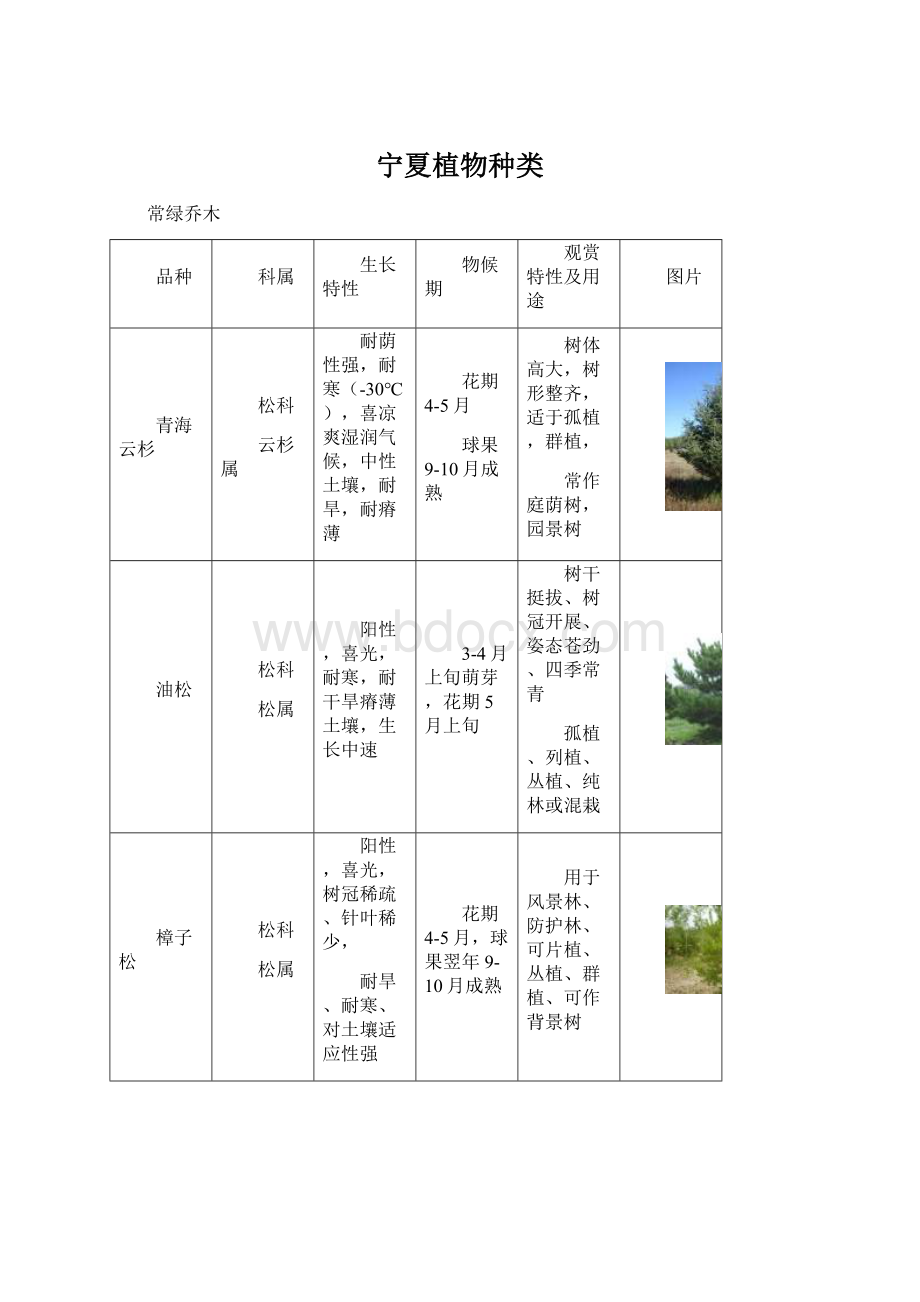 宁夏植物种类.docx_第1页