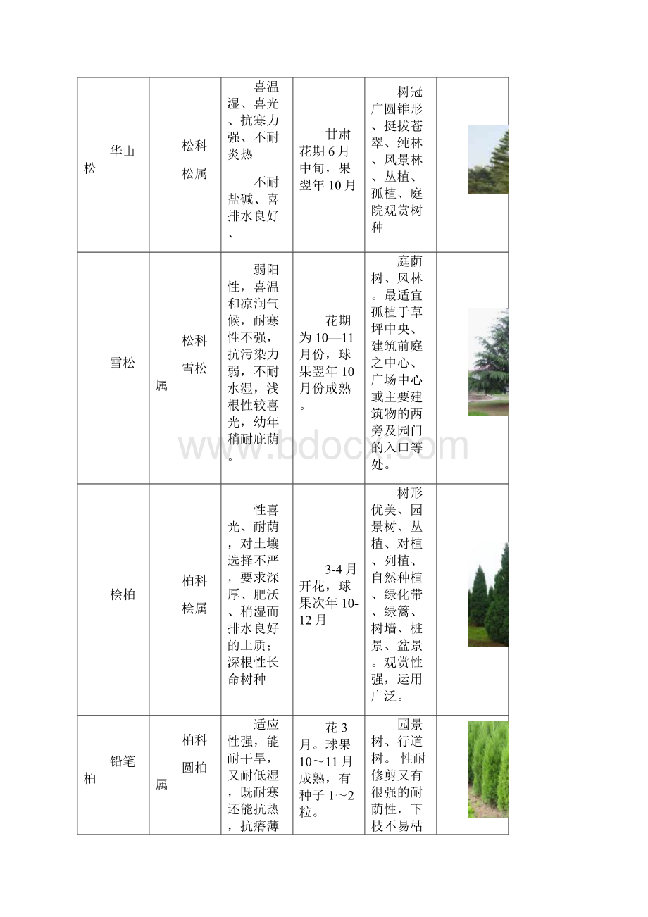 宁夏植物种类.docx_第2页