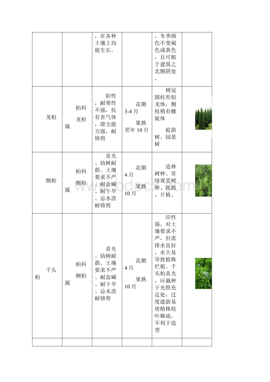 宁夏植物种类Word文档格式.docx_第3页