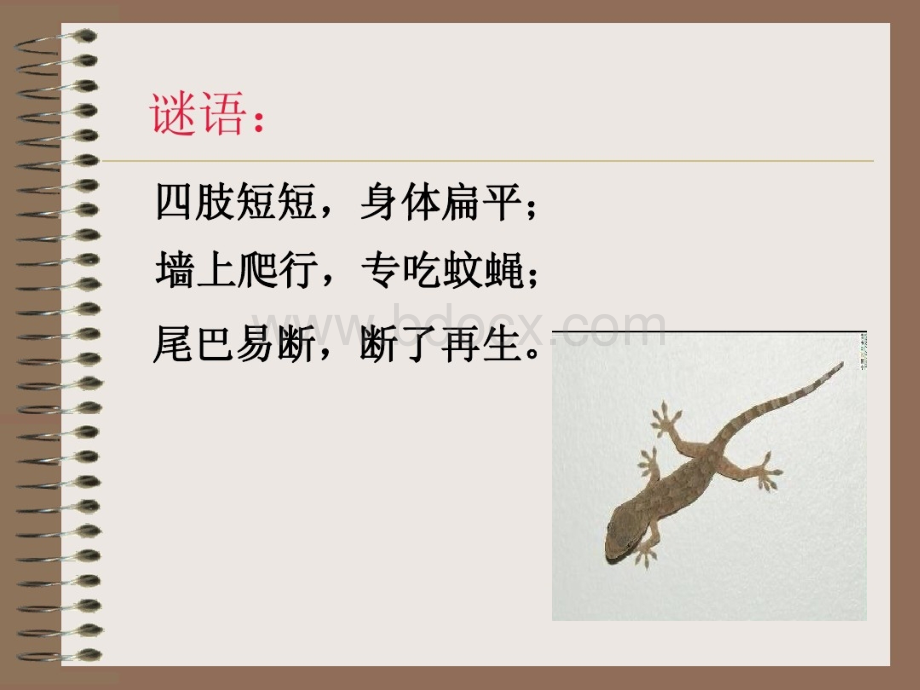 奇妙的防身术PPT格式课件下载.ppt