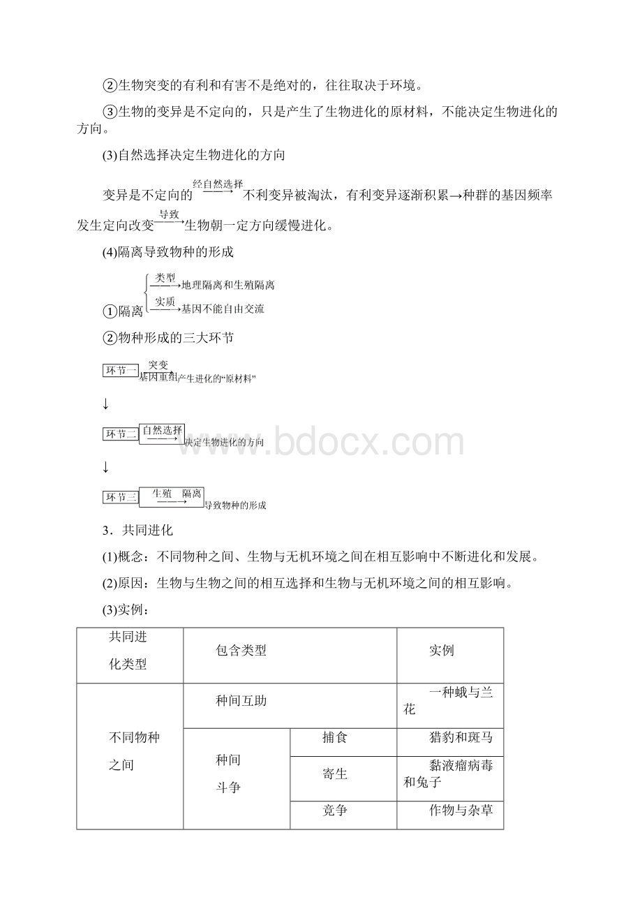 高考 一轮复习 人教版 生物的进化 学案docWord格式文档下载.docx_第2页