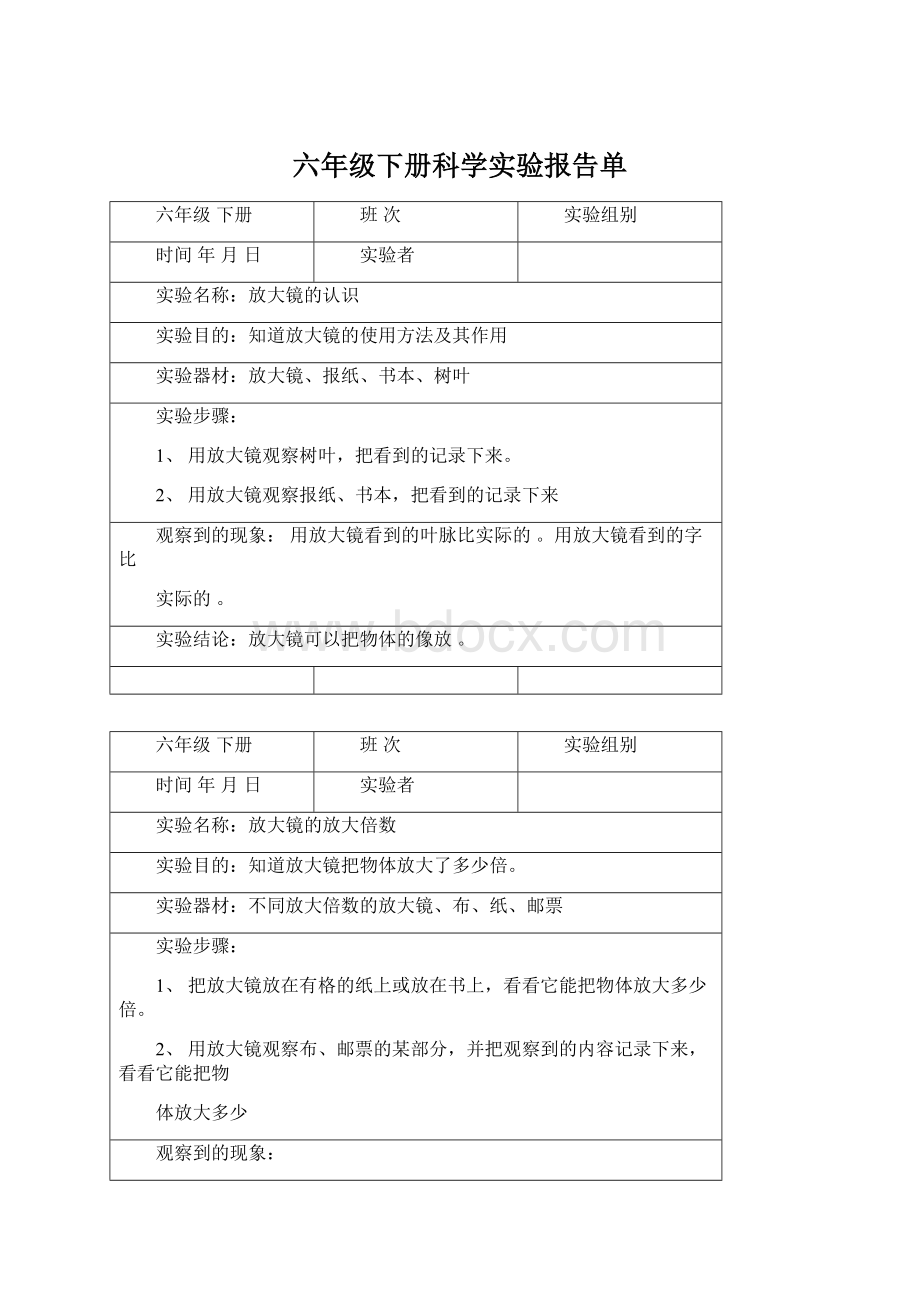 六年级下册科学实验报告单Word文档下载推荐.docx_第1页