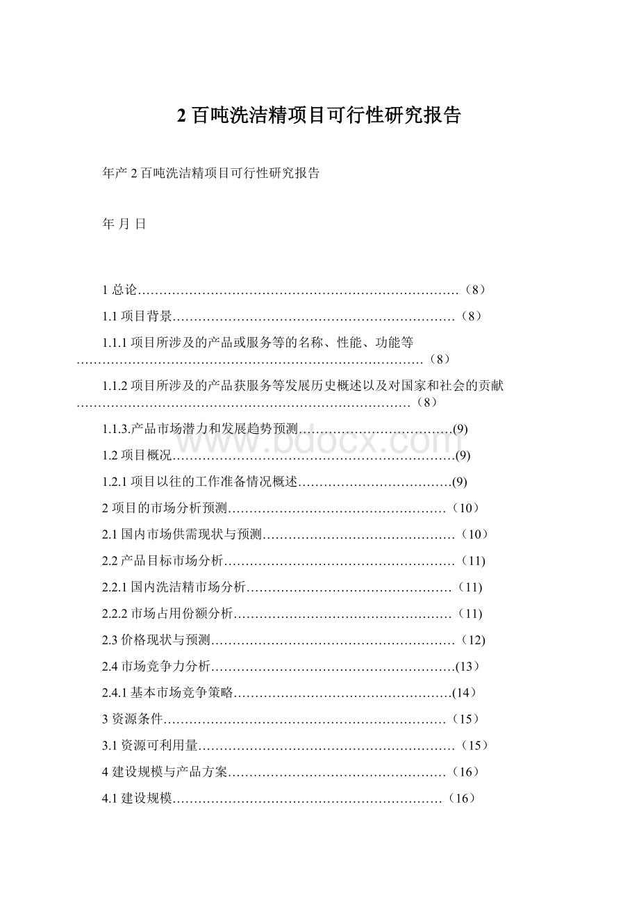 2百吨洗洁精项目可行性研究报告Word格式文档下载.docx_第1页