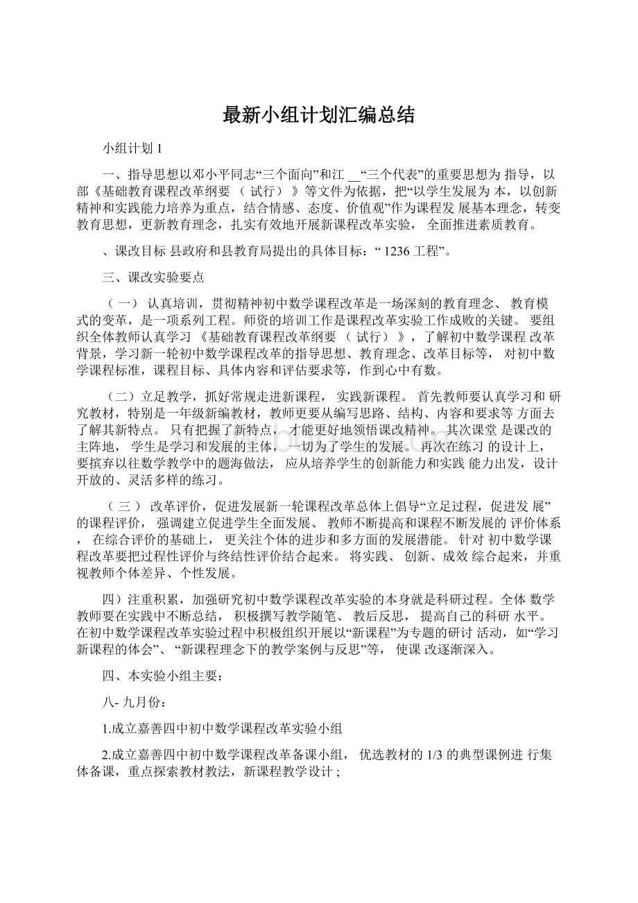 最新小组计划汇编总结Word格式文档下载.docx