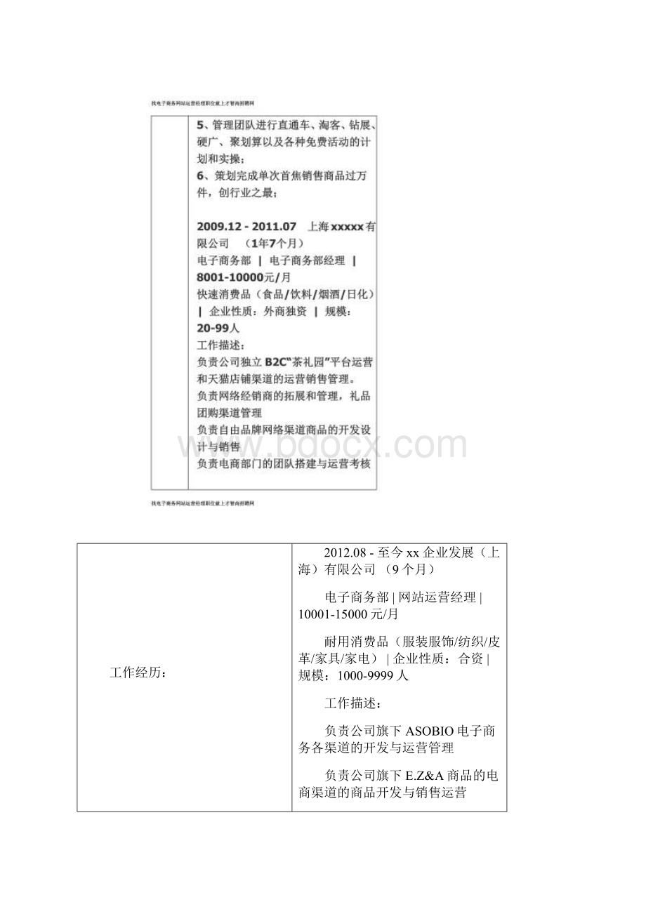 电子商务网站运营经理 个人简历模板Word文档格式.docx_第3页