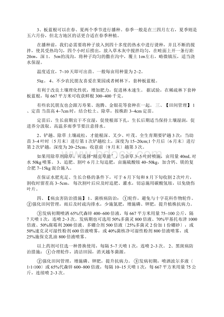 林下板蓝根种植技术Word格式文档下载.docx_第3页