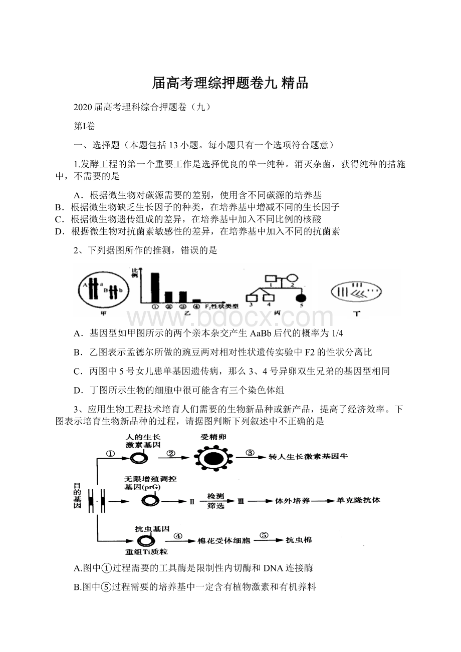 届高考理综押题卷九 精品.docx