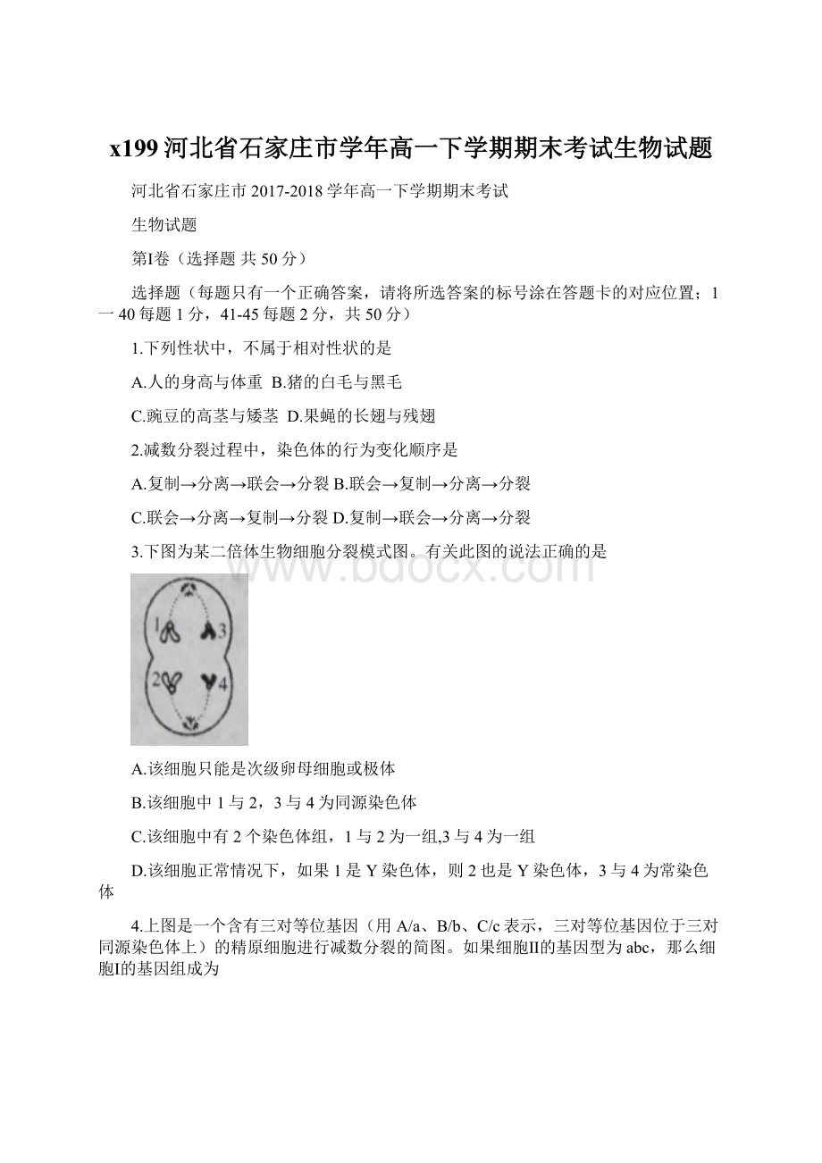 x199河北省石家庄市学年高一下学期期末考试生物试题文档格式.docx_第1页