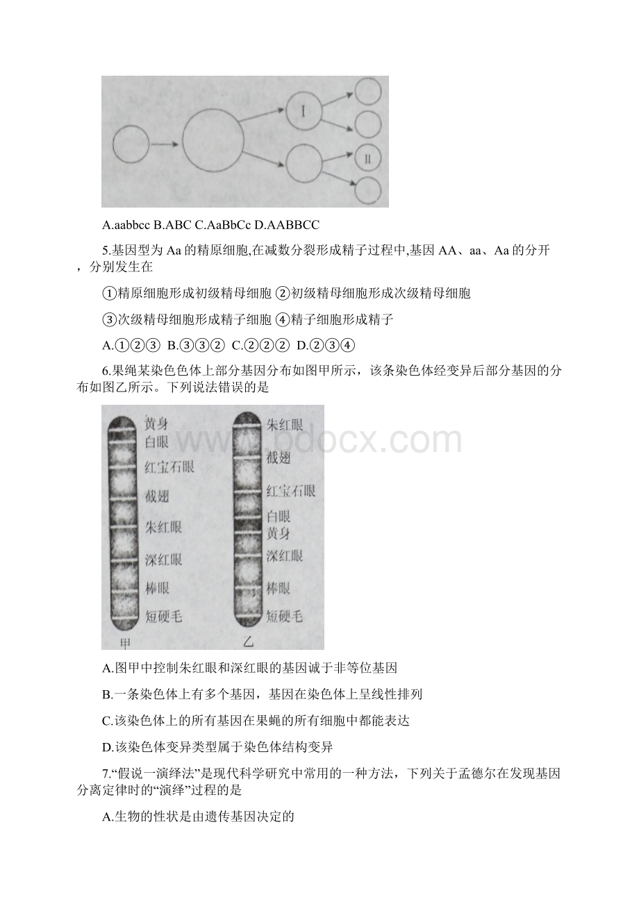 x199河北省石家庄市学年高一下学期期末考试生物试题文档格式.docx_第2页