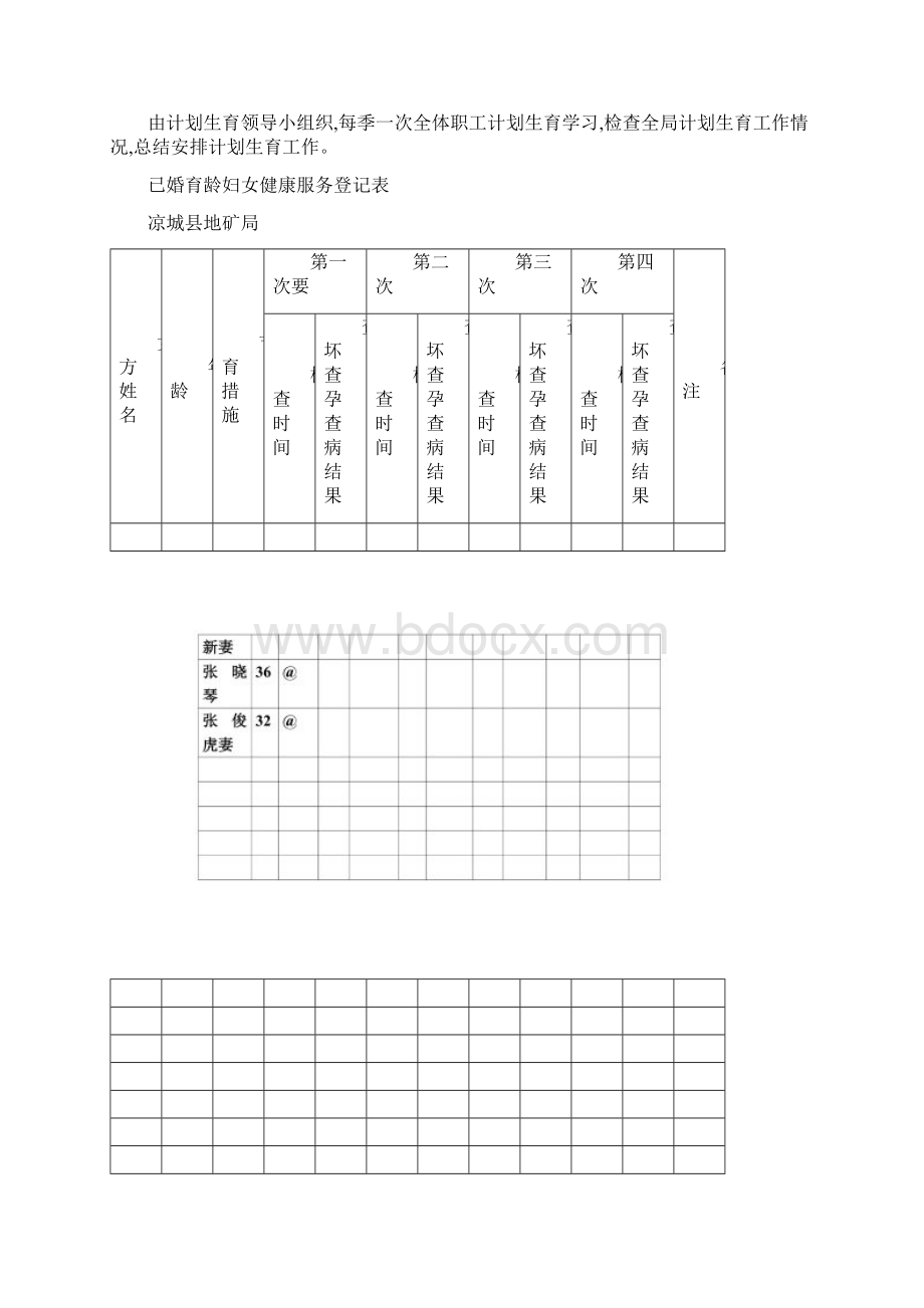 计划生育工作图表Word下载.docx_第2页