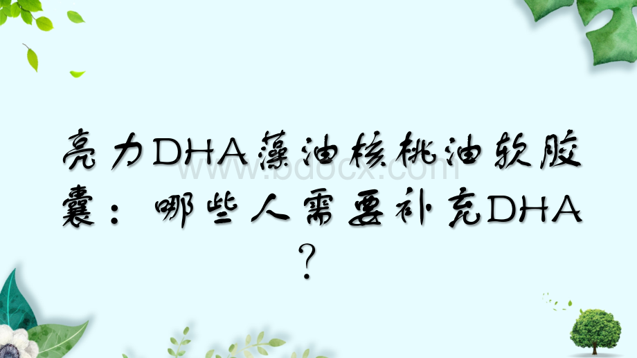 亮力DHA藻油核桃油软胶囊：哪些人需要补充DHA？.pptx_第1页