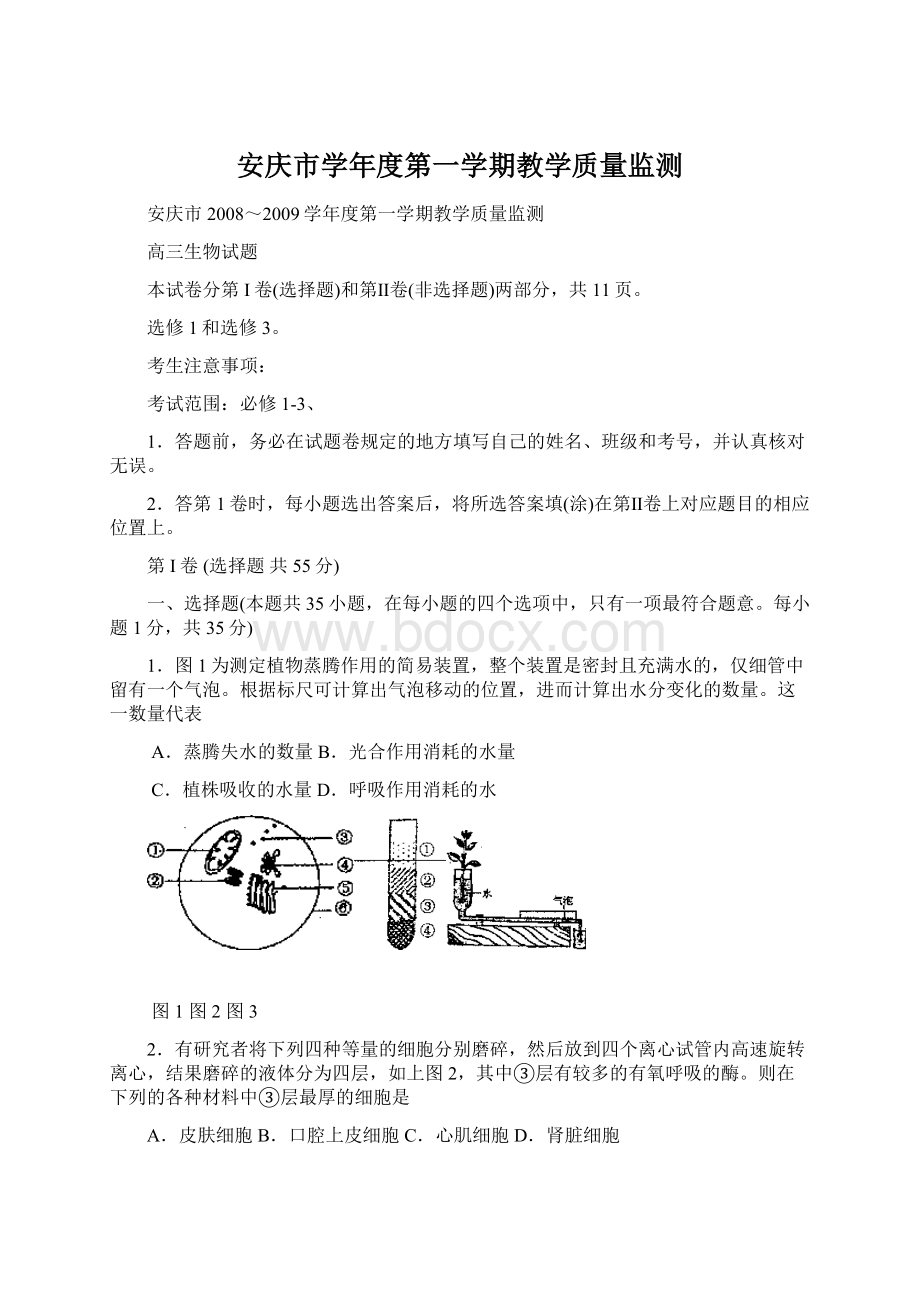 安庆市学年度第一学期教学质量监测Word下载.docx_第1页