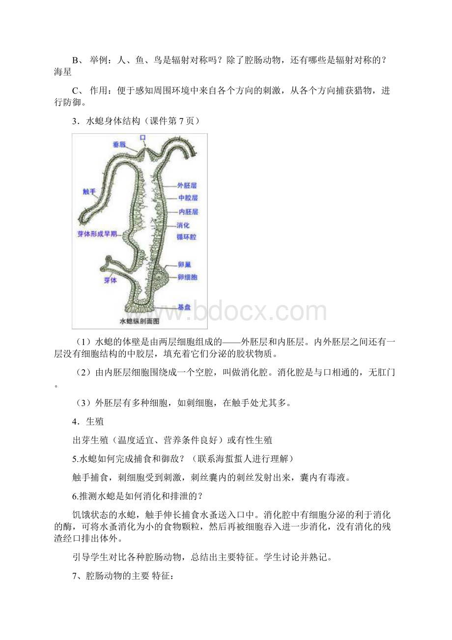 人教版八年级生物上册全册教案教学设计Word格式文档下载.docx_第3页