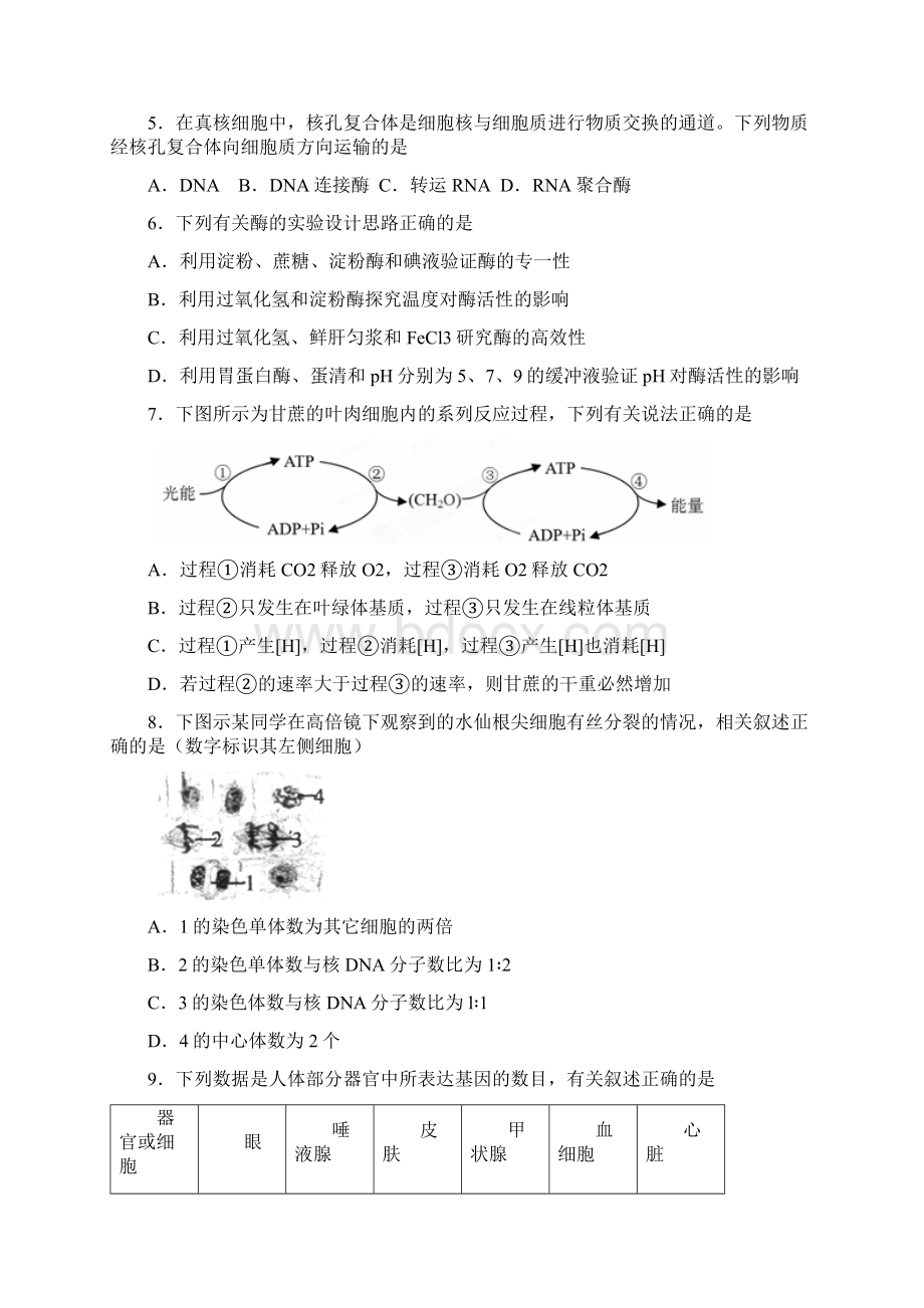 山东省滕州市第二中学高三生物上学期期末考试试题Word文件下载.docx_第2页