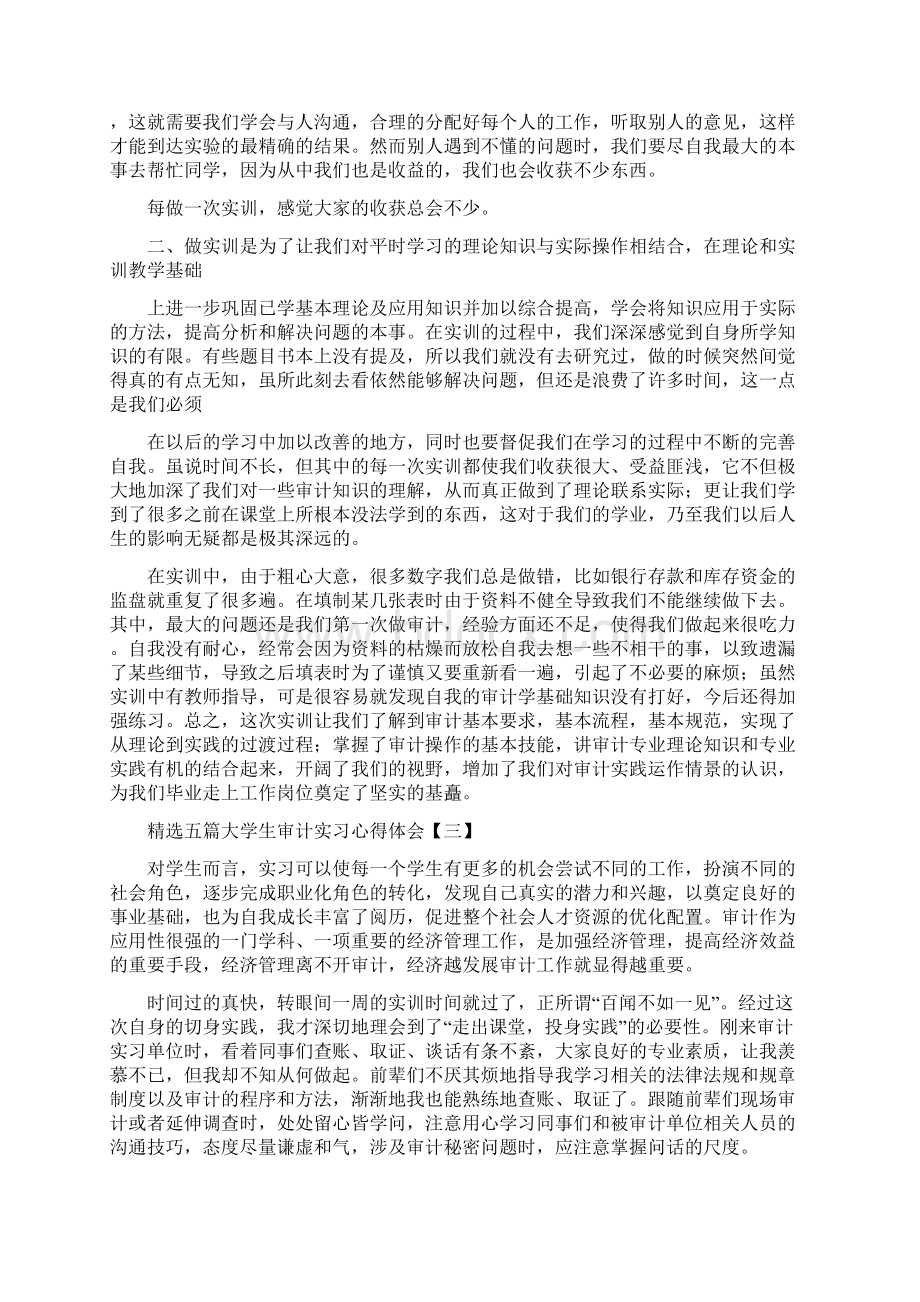 范文精选五篇大学生审计实习心得体会.docx_第3页