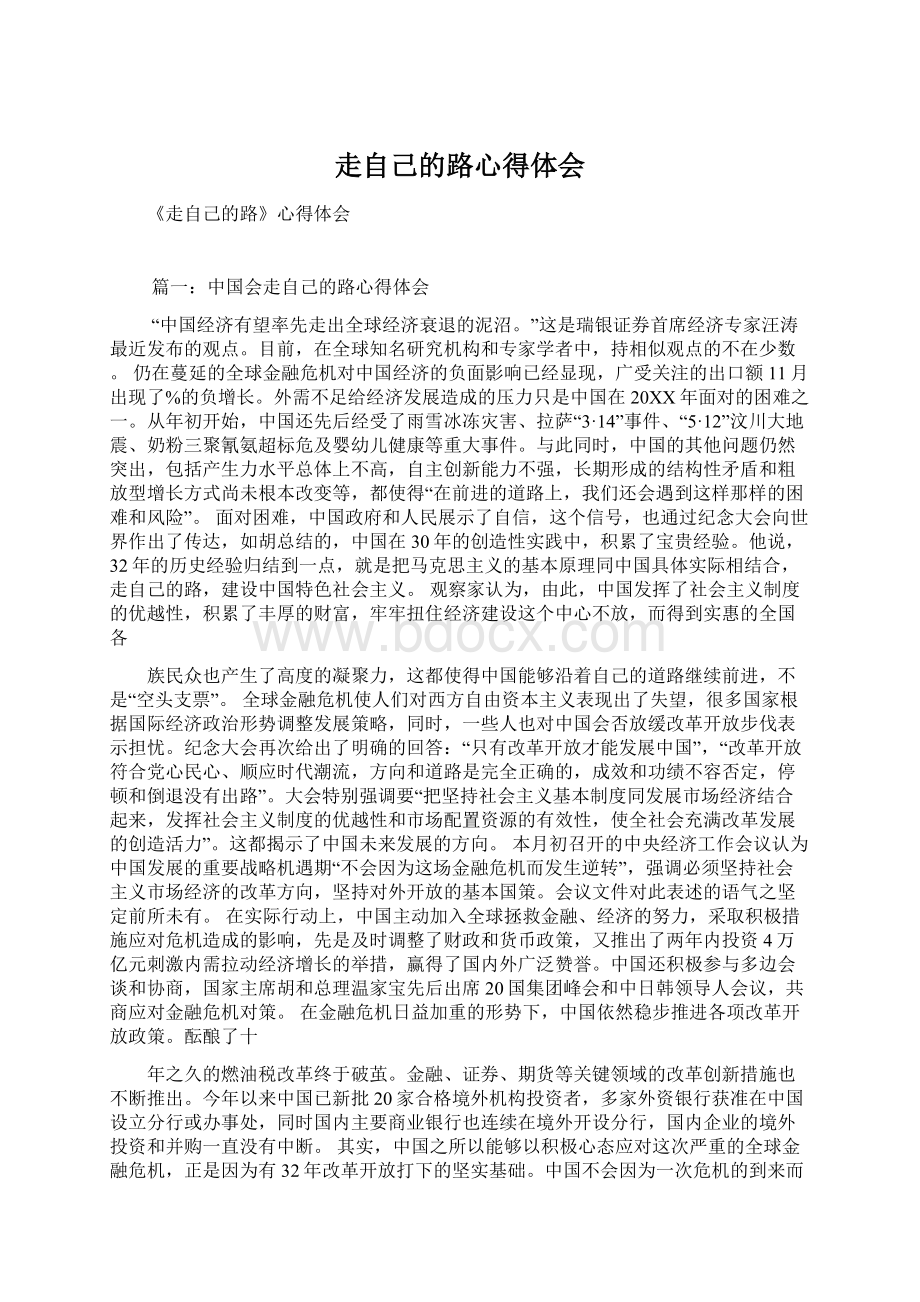 走自己的路心得体会Word下载.docx