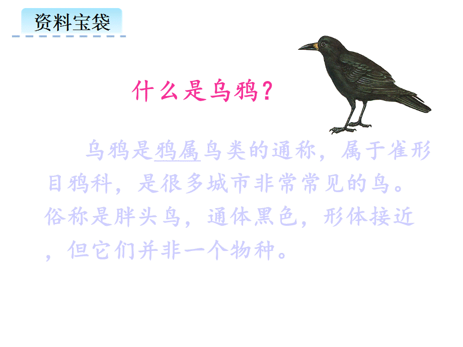 人教版一年级语文13《乌鸦喝水》课件.ppt_第3页