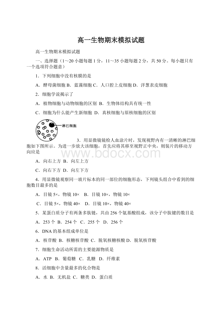 高一生物期末模拟试题Word文档格式.docx