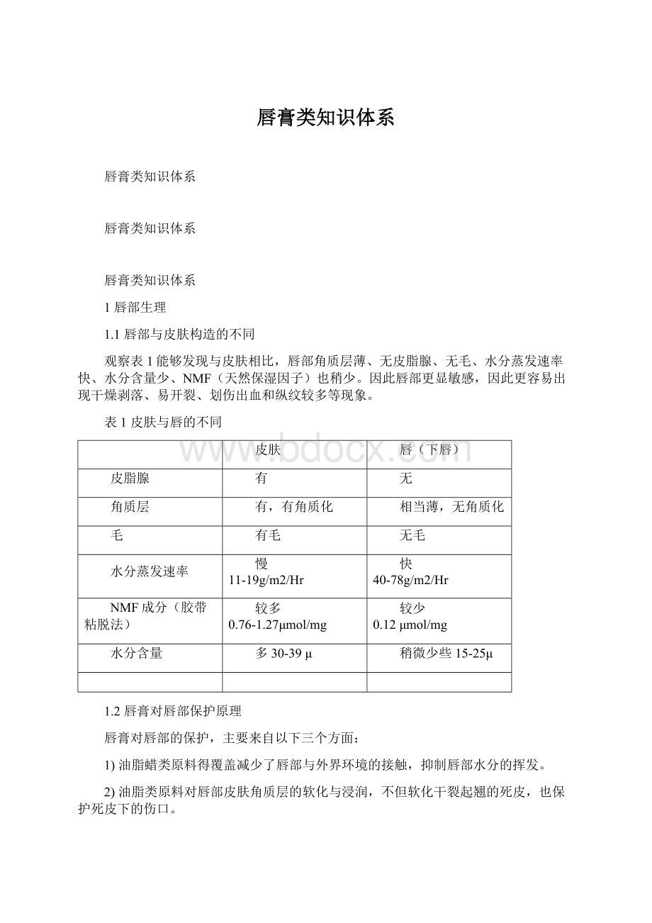 唇膏类知识体系.docx_第1页