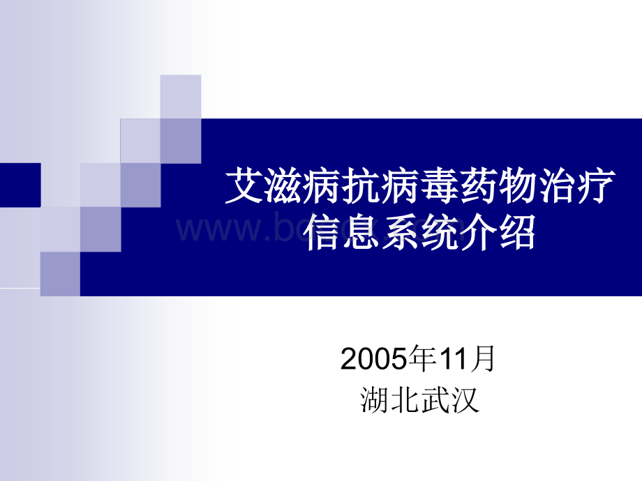 艾滋病免费抗病毒药物治疗管理信息系统框架.ppt_第1页