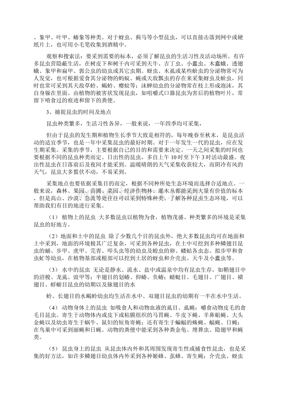 昆虫学的实验报告文档3篇文档格式.docx_第2页