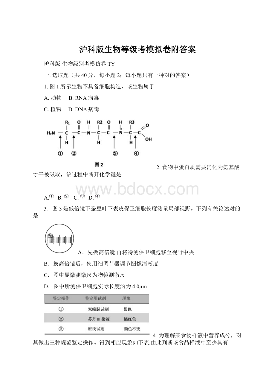 沪科版生物等级考模拟卷附答案.docx_第1页