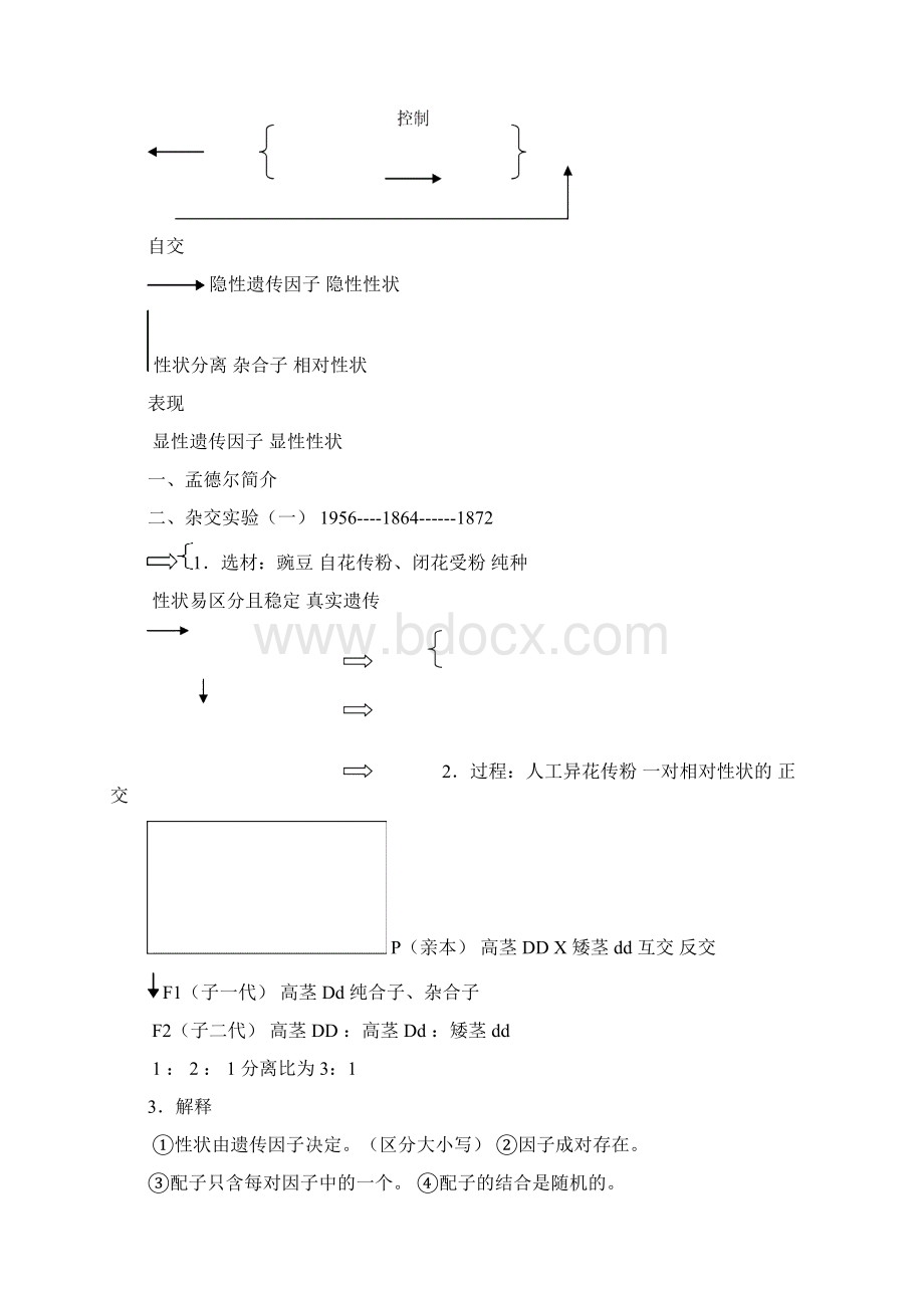 人教版高中生物必修2全册教案word版15页文档格式.docx_第2页