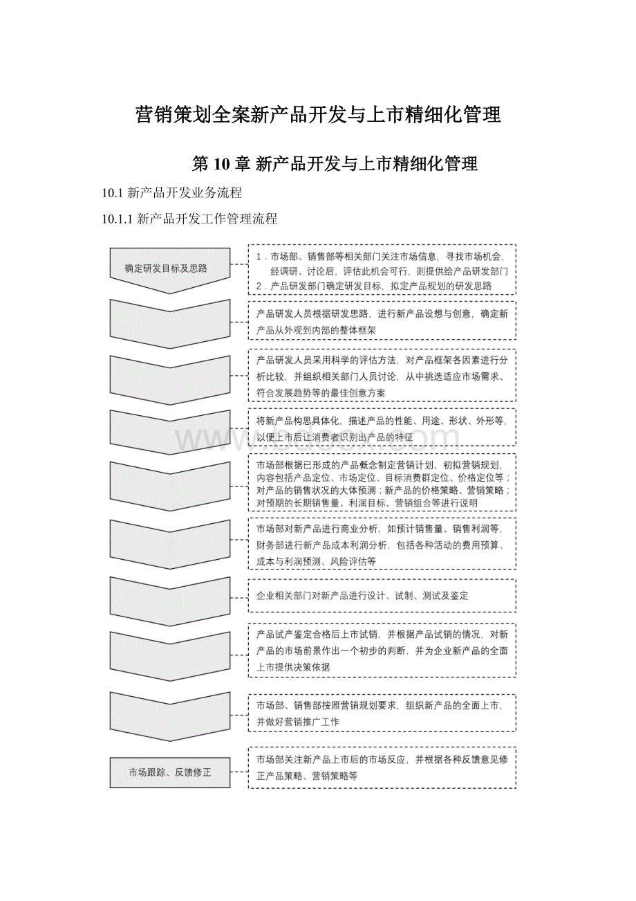 营销策划全案新产品开发与上市精细化管理Word下载.docx_第1页