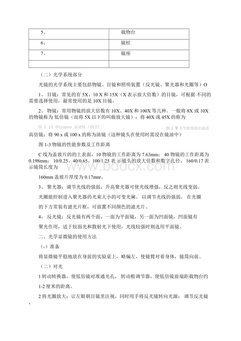 动物解剖生理实验指导Word文档下载推荐.docx_第2页