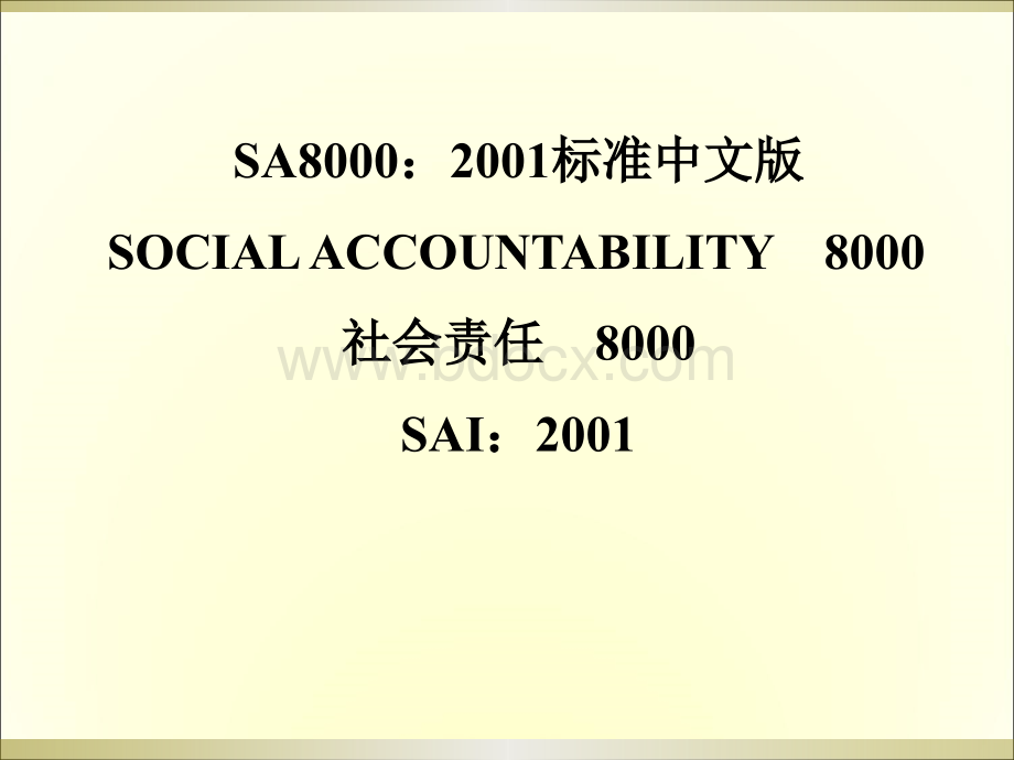SA8000全文社会责任.ppt