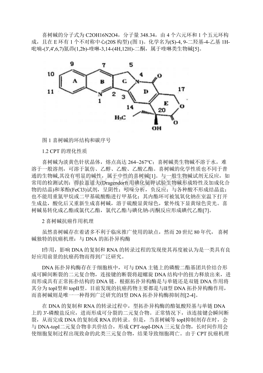 喜树碱类抗癌药物的研究进展Word格式文档下载.docx_第3页