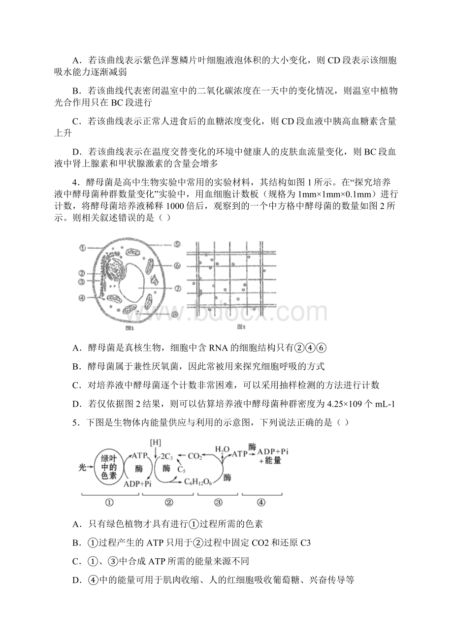 四川省宜宾市第四中学届高三高考适应性考试生物试题含答案Word文件下载.docx_第2页