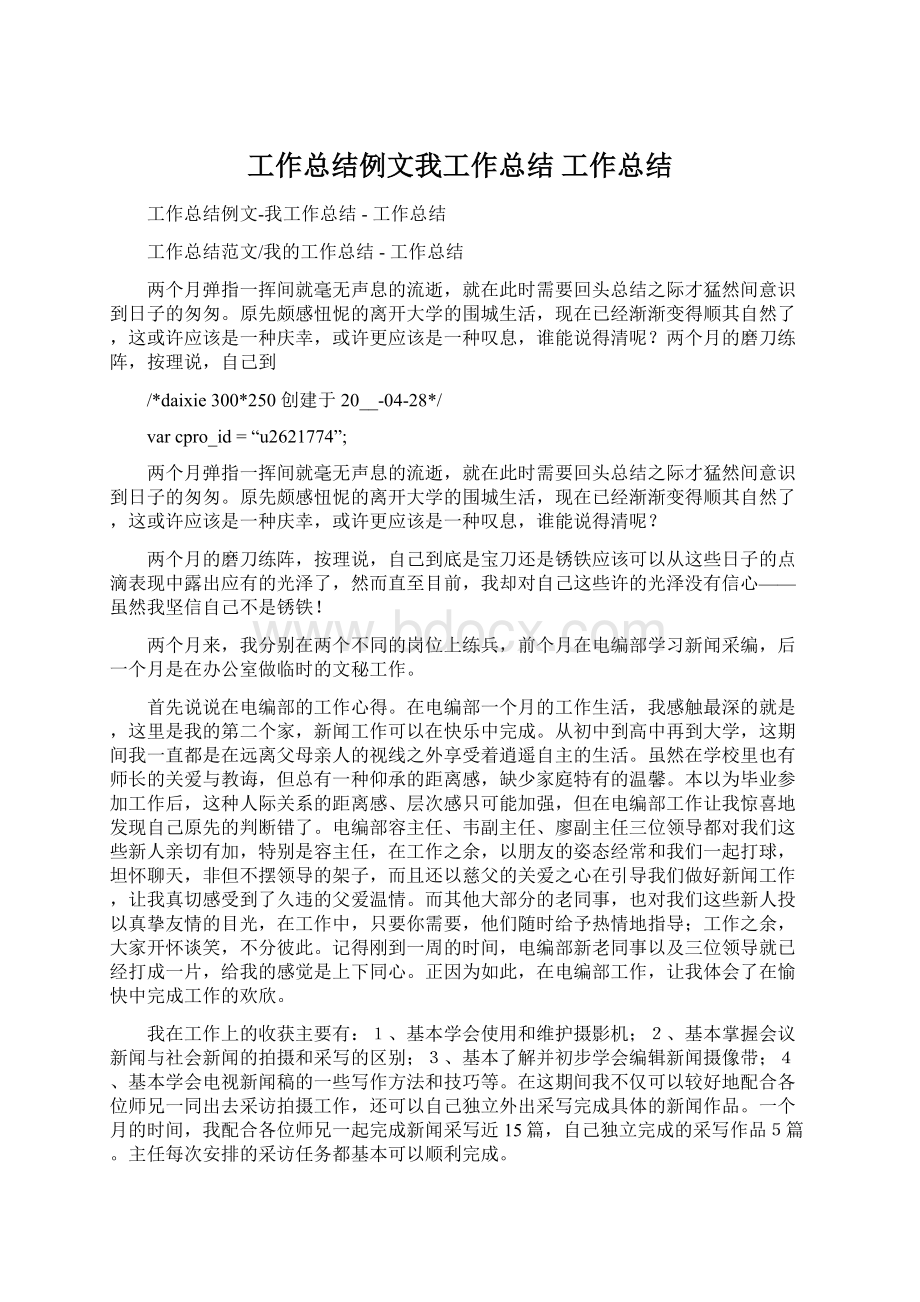 工作总结例文我工作总结工作总结文档格式.docx_第1页