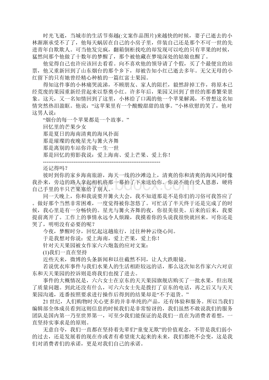 文案作品图片Word格式文档下载.docx_第3页