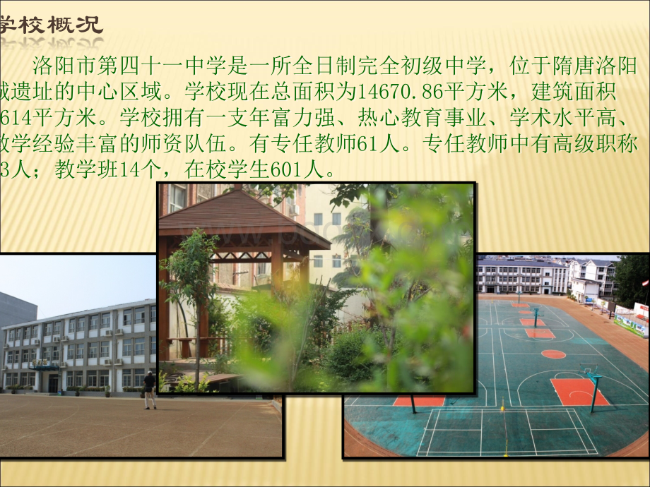 优秀中学创建语言文字规范化示范学校的汇报PPT推荐.ppt_第2页