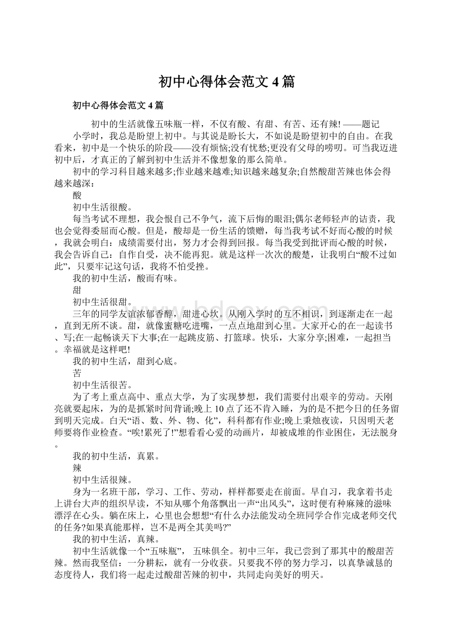 初中心得体会范文4篇Word文件下载.docx