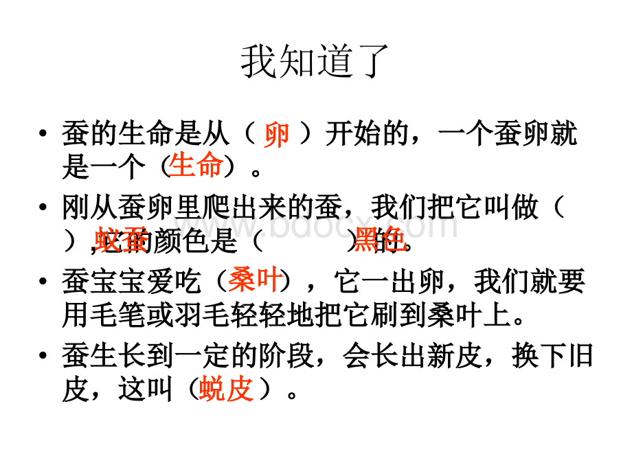 蛹变成了什么.ppt