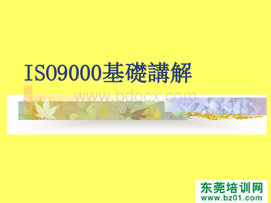 ISO9000基础讲解优质PPT.ppt_第3页