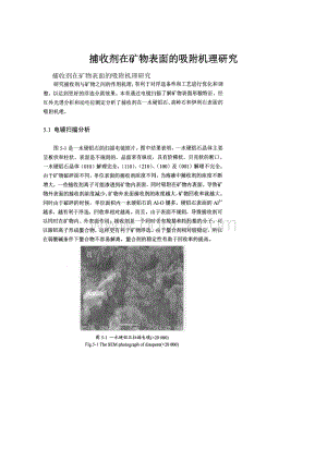 捕收剂在矿物表面的吸附机理研究.docx