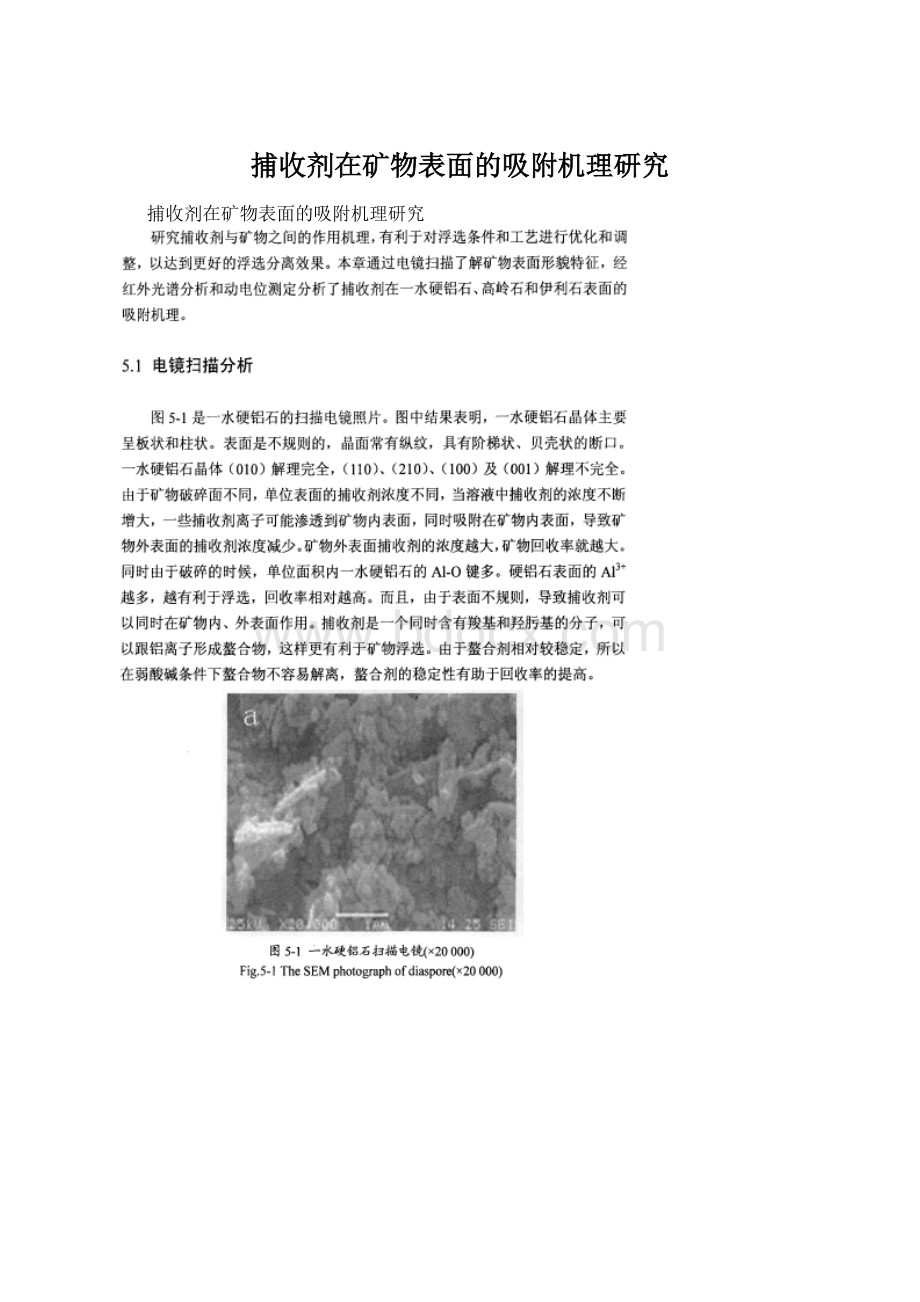 捕收剂在矿物表面的吸附机理研究.docx_第1页