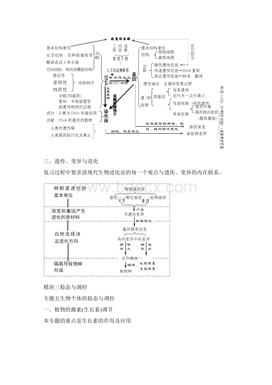 高中生物知识网络图.docx_第3页