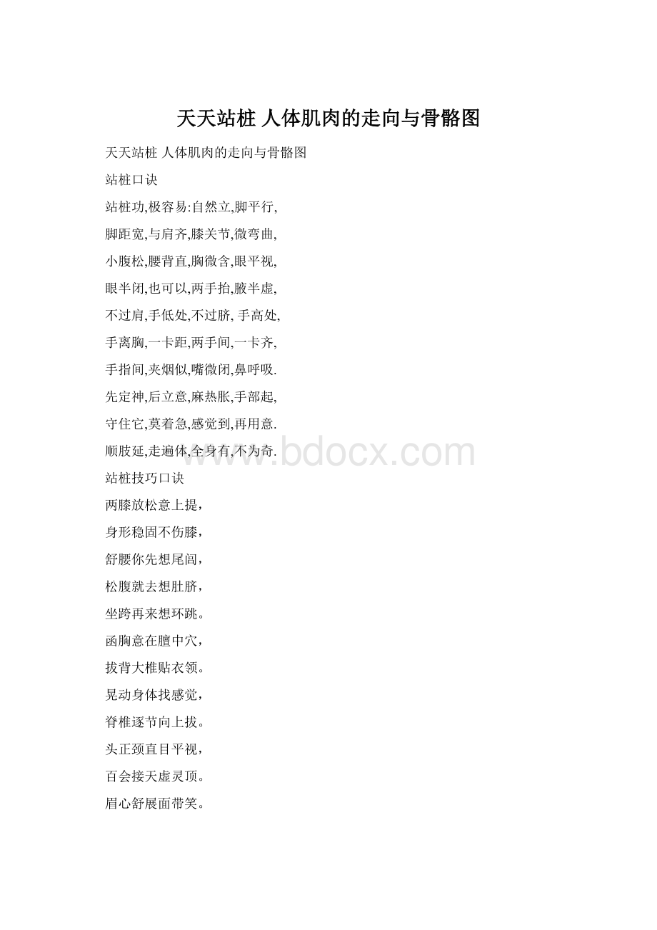 天天站桩 人体肌肉的走向与骨骼图Word文档下载推荐.docx_第1页