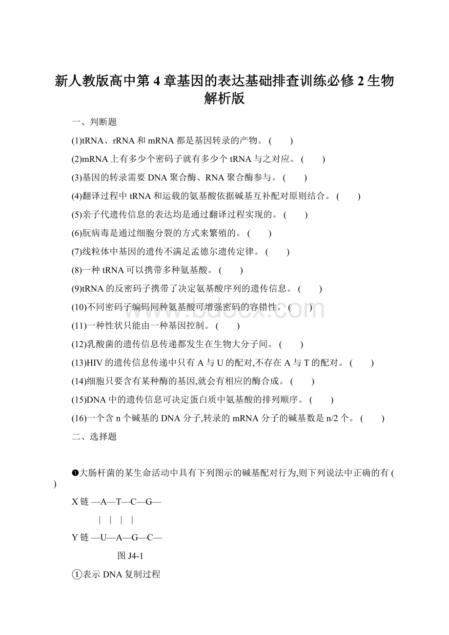 新人教版高中第4章基因的表达基础排查训练必修2生物解析版.docx_第1页