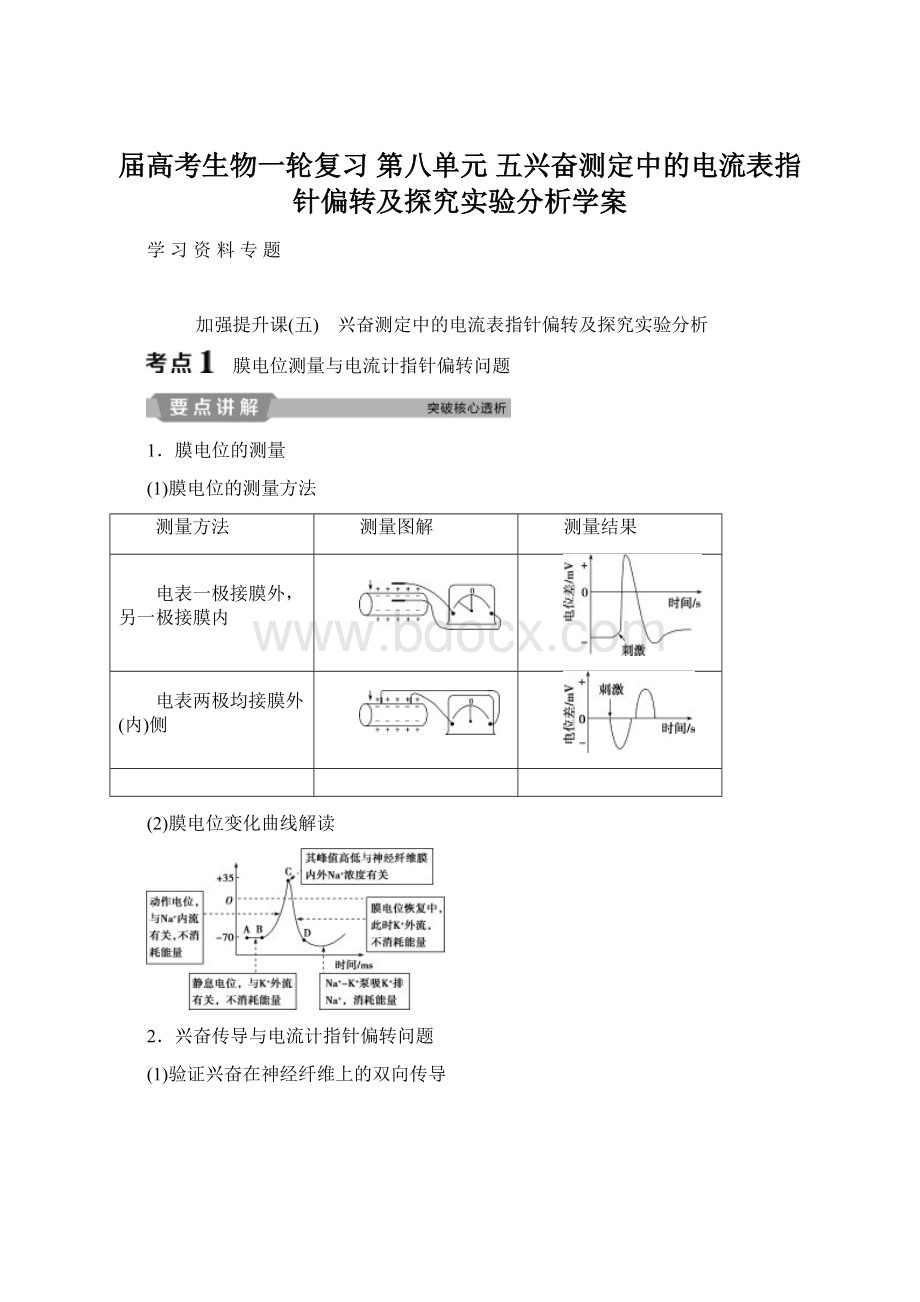 届高考生物一轮复习 第八单元 五兴奋测定中的电流表指针偏转及探究实验分析学案.docx