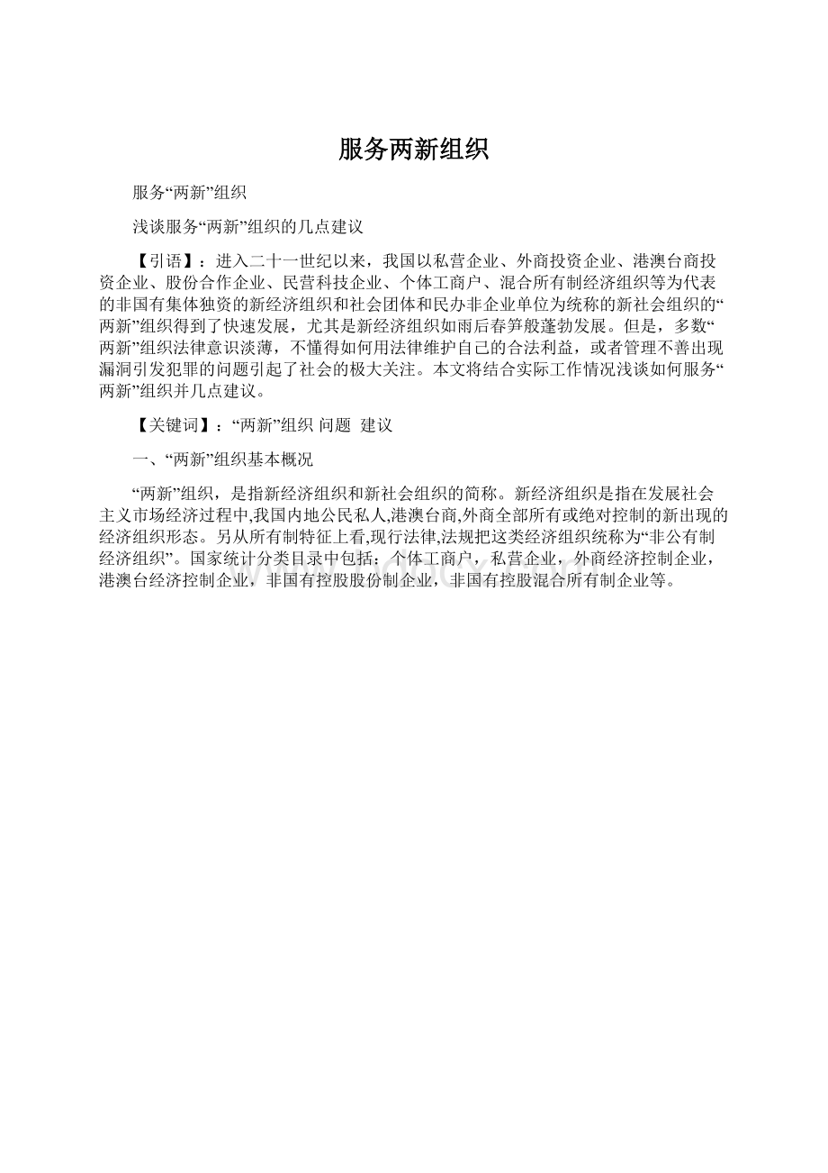 服务两新组织Word格式文档下载.docx